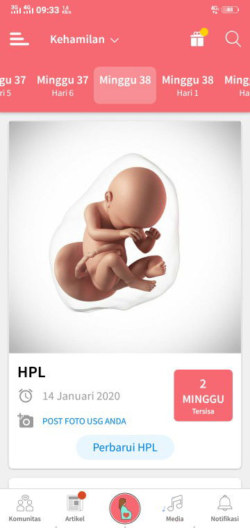 menanti gelombang cinta