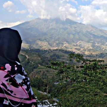 Putri Raharjanti profile icon