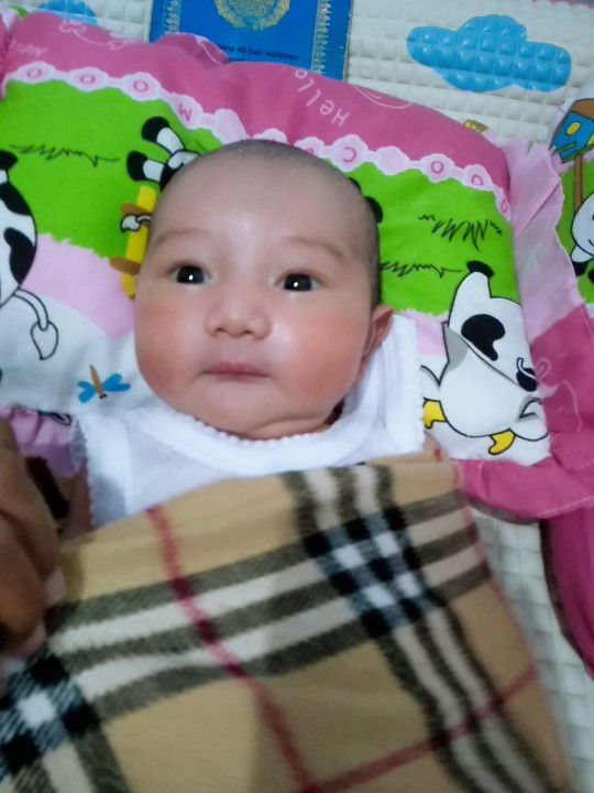 Mega Mustika profile icon