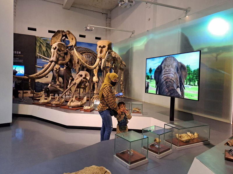 Santi Andriani profile icon