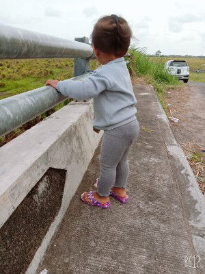 Rasyidatu shafa profile icon