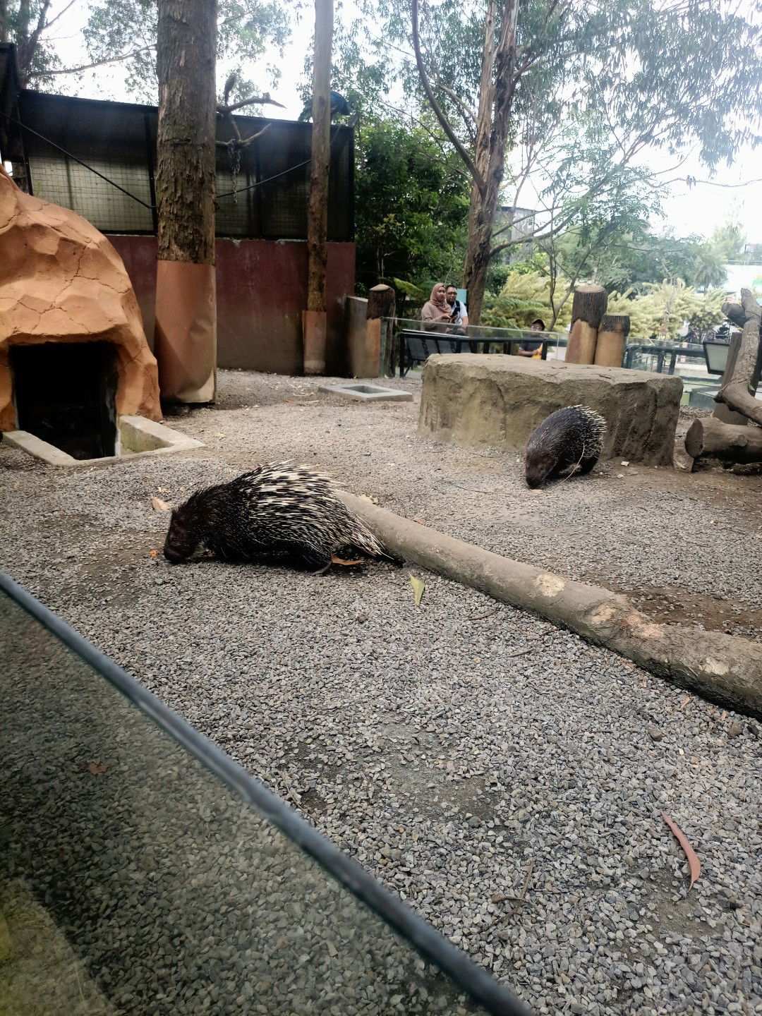 Asri Maulida profile icon