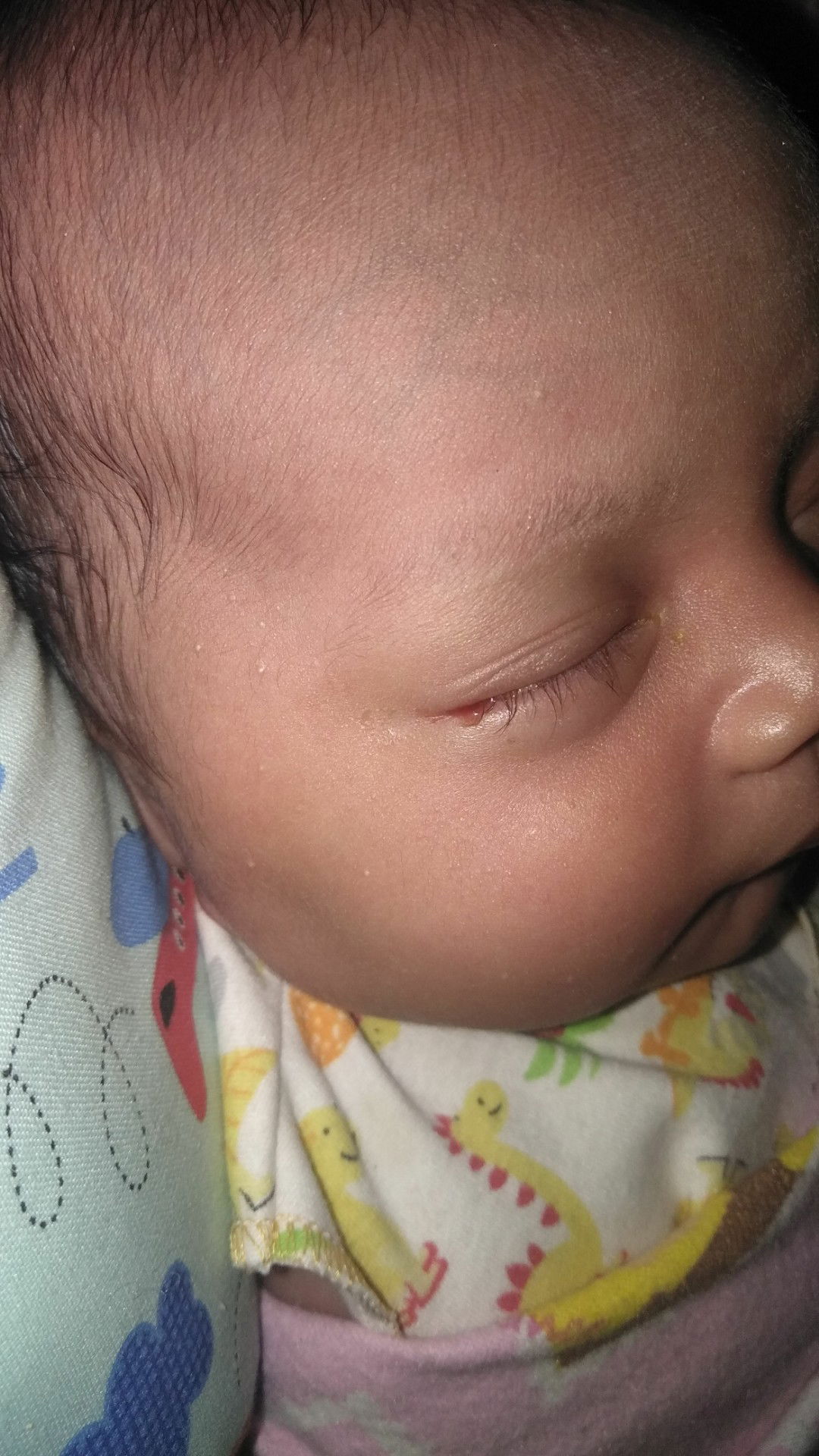 bun tolong jawab dong bund... plizz penting..