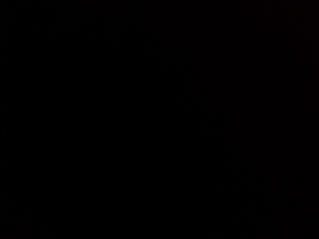 Dian Wahdini profile icon