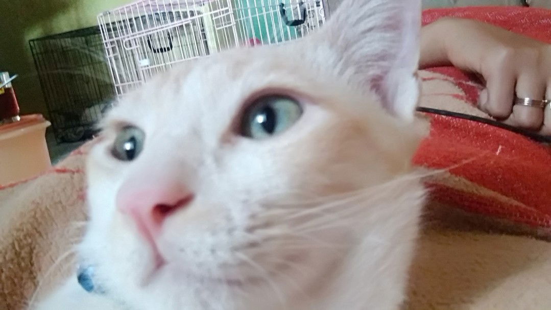 enyta eka rahayu profile icon