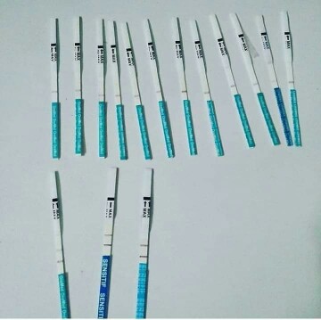 SEMANGAT PARA PEJUANG GARIS 2