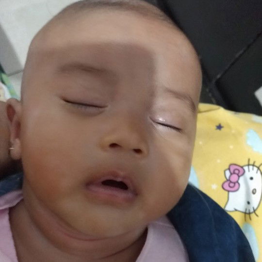 tentang bayi
