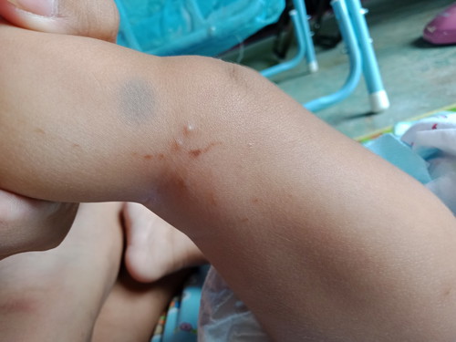 2เดือน14วัน