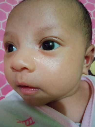 Vebtika Sari profile icon