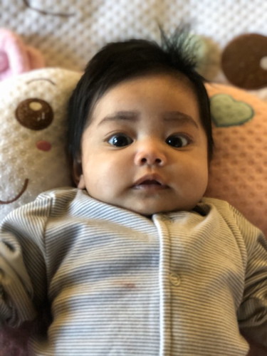 2เดือน11วัน