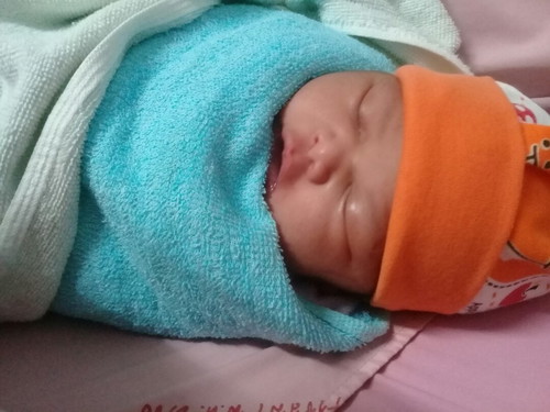 ลูกหมู?