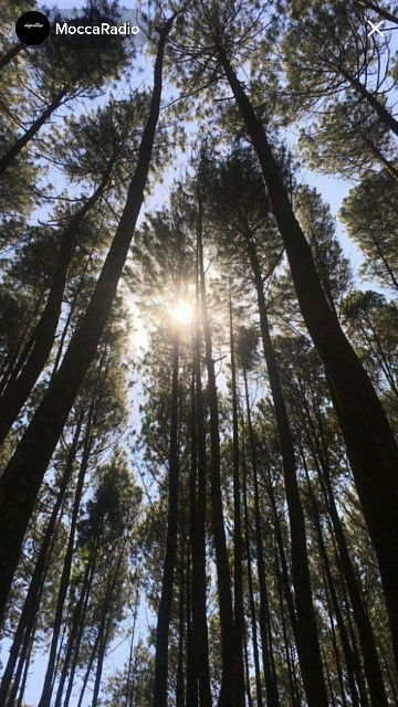 Atika Wulandari profile icon