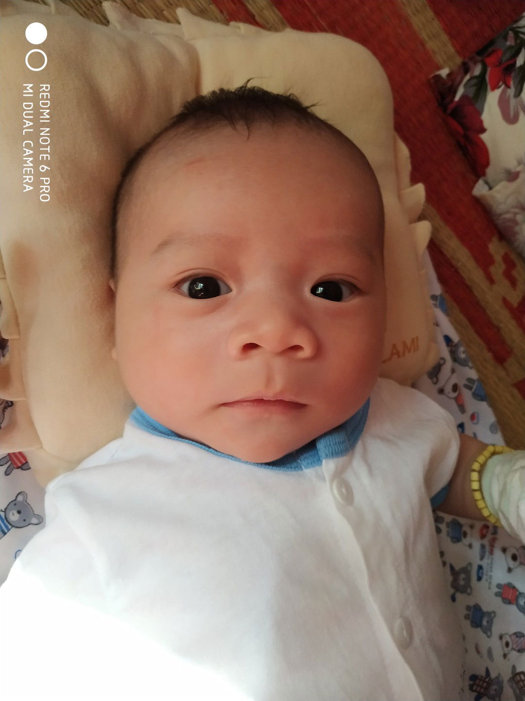 Ngân Kim Ngân Jovial profile icon