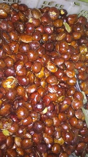 jengkol