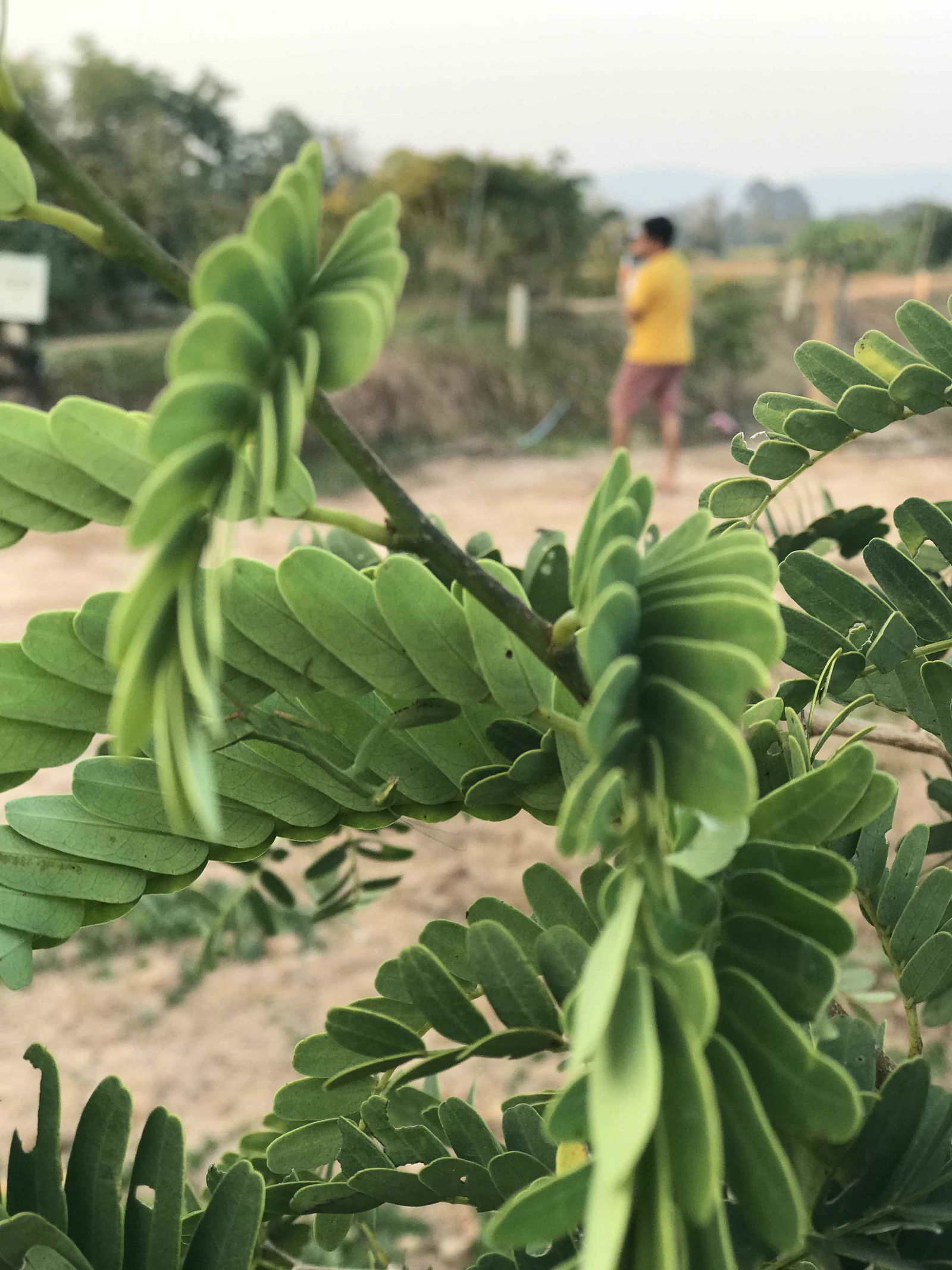 ณัฐนิชา profile icon