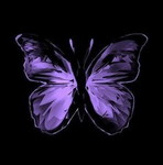 Lucy Androvow profile icon