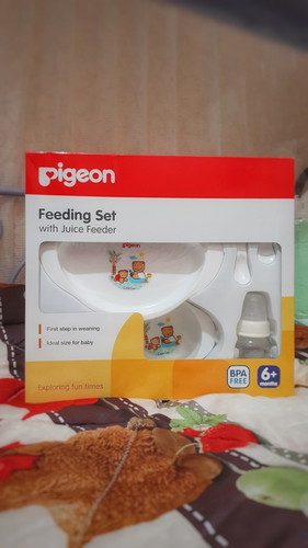 pigeon feeding set