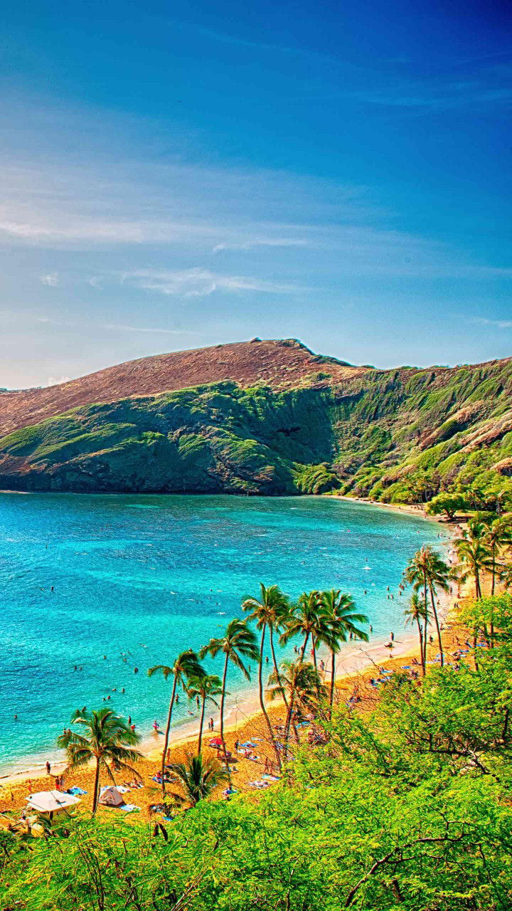 ayu permata sari profile icon