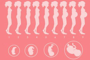 BUKAN PERTANYAAN tapi PERNYATAAN