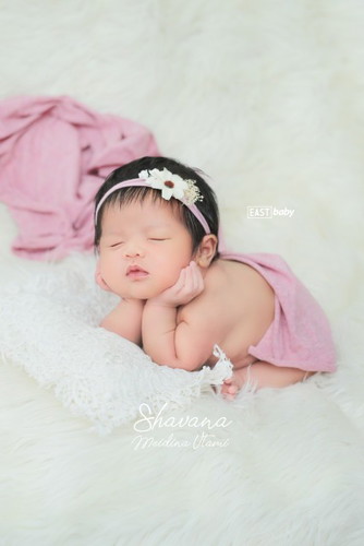 shavana meidina utami