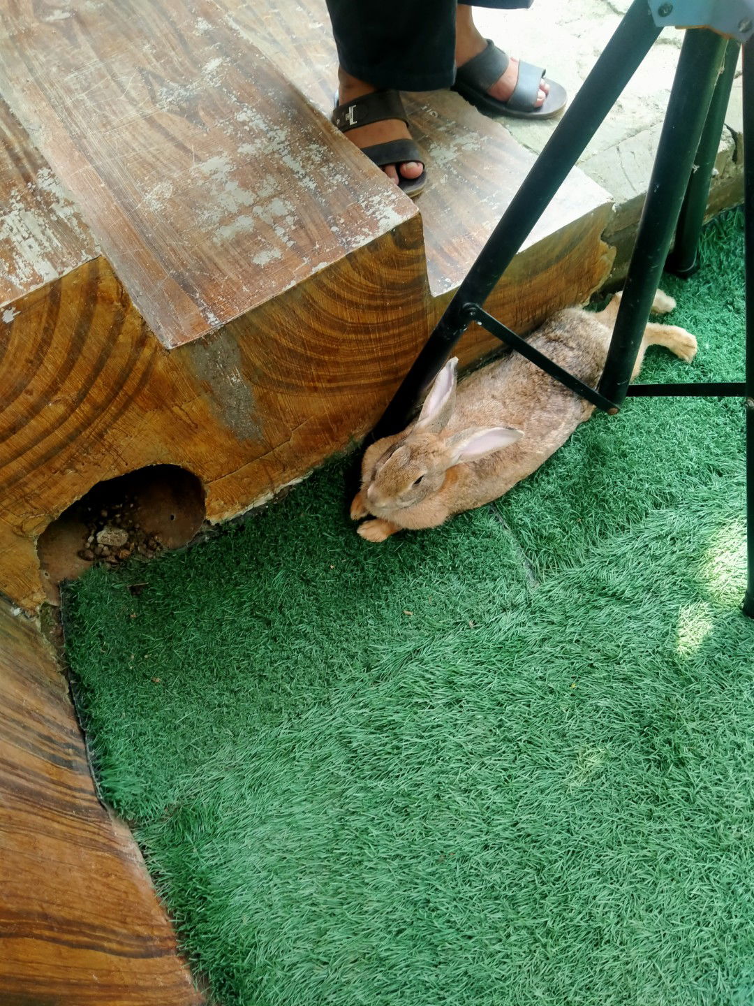 Ezzah Nuranisa profile icon