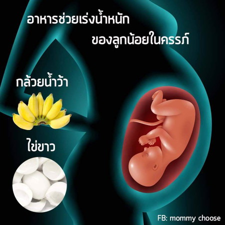อาหารเร่งน้ำหนักลูก
