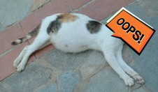 keadaan bayi saya dalam kandungan