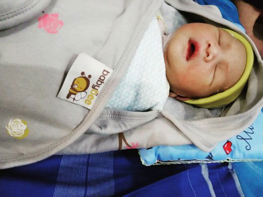 hpl 5 april launching 1 april