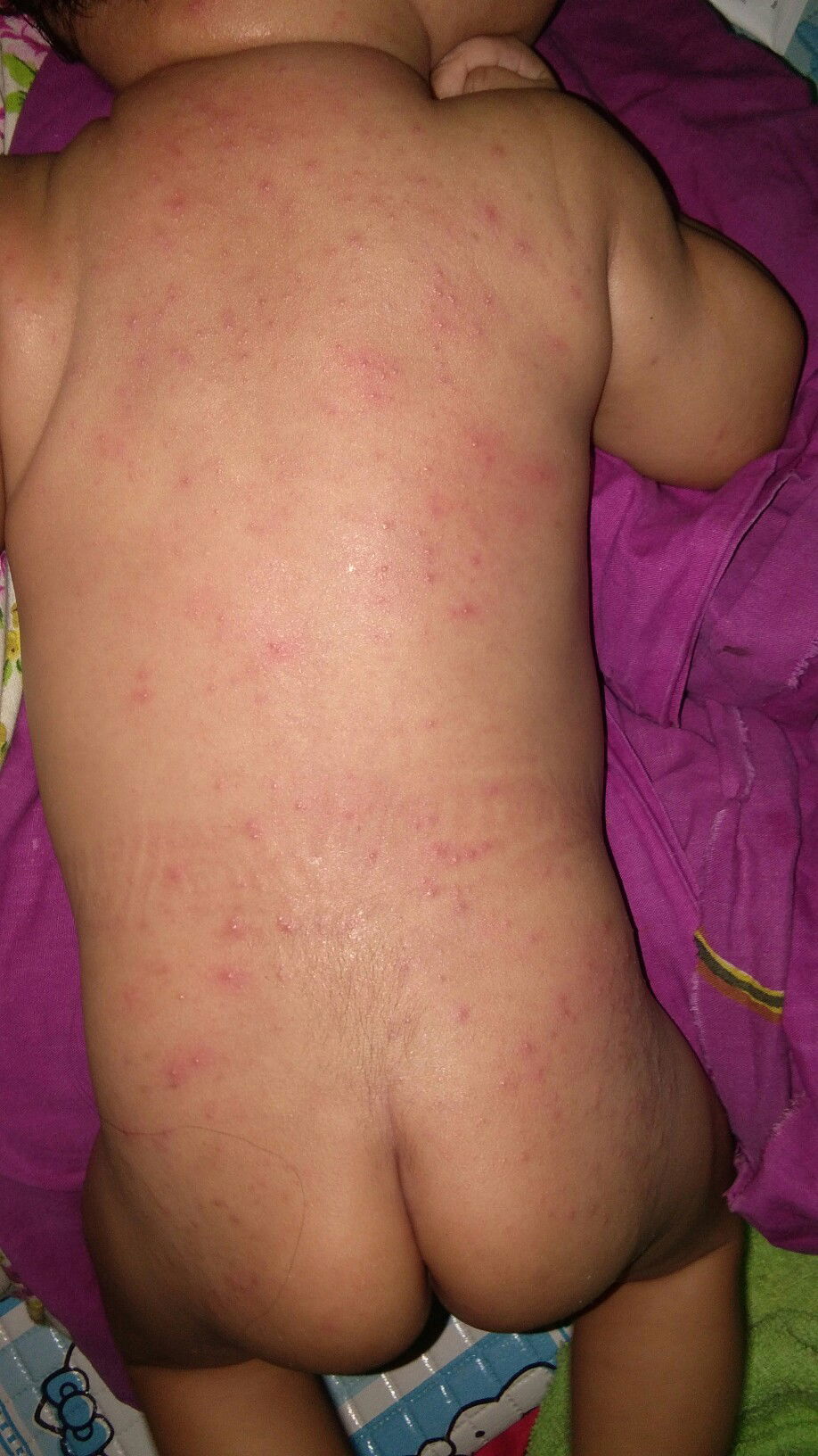 mohon info bunda bila ada yg sama