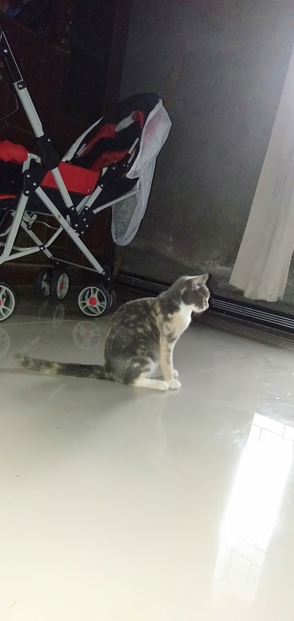 lestari profile icon