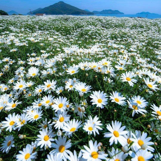 Hyra Addie profile icon