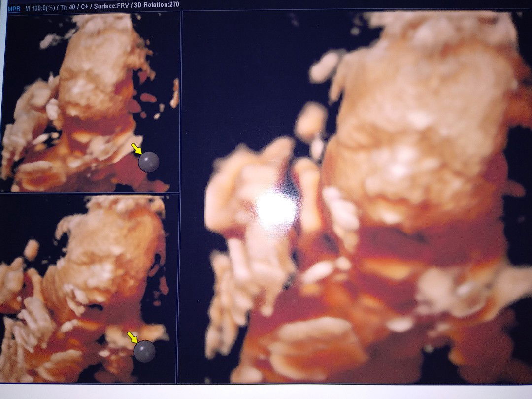 Nurul Fatimah profile icon