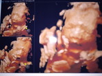 Nurul Fatimah profile icon