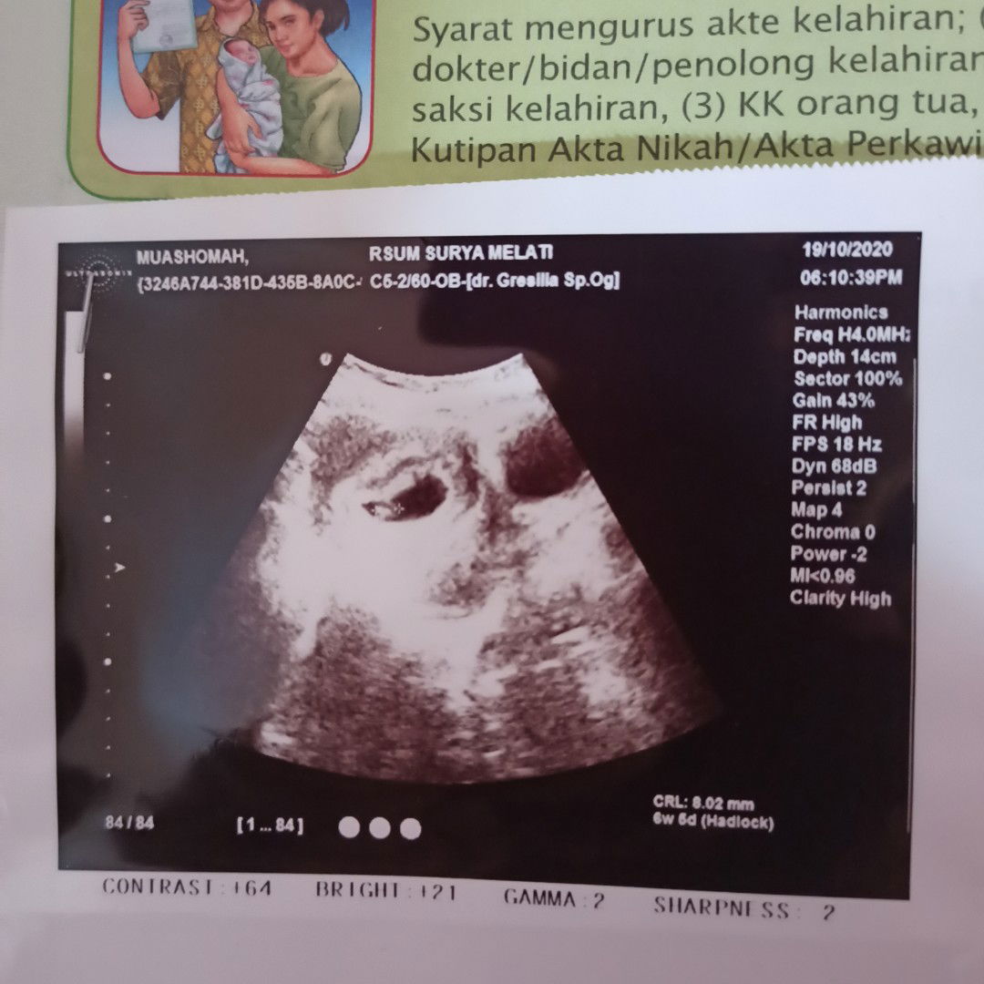 Arzenia profile icon