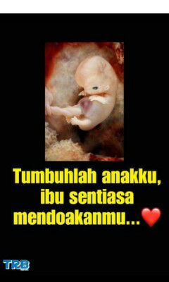 penguat hati , jiwa dan raga