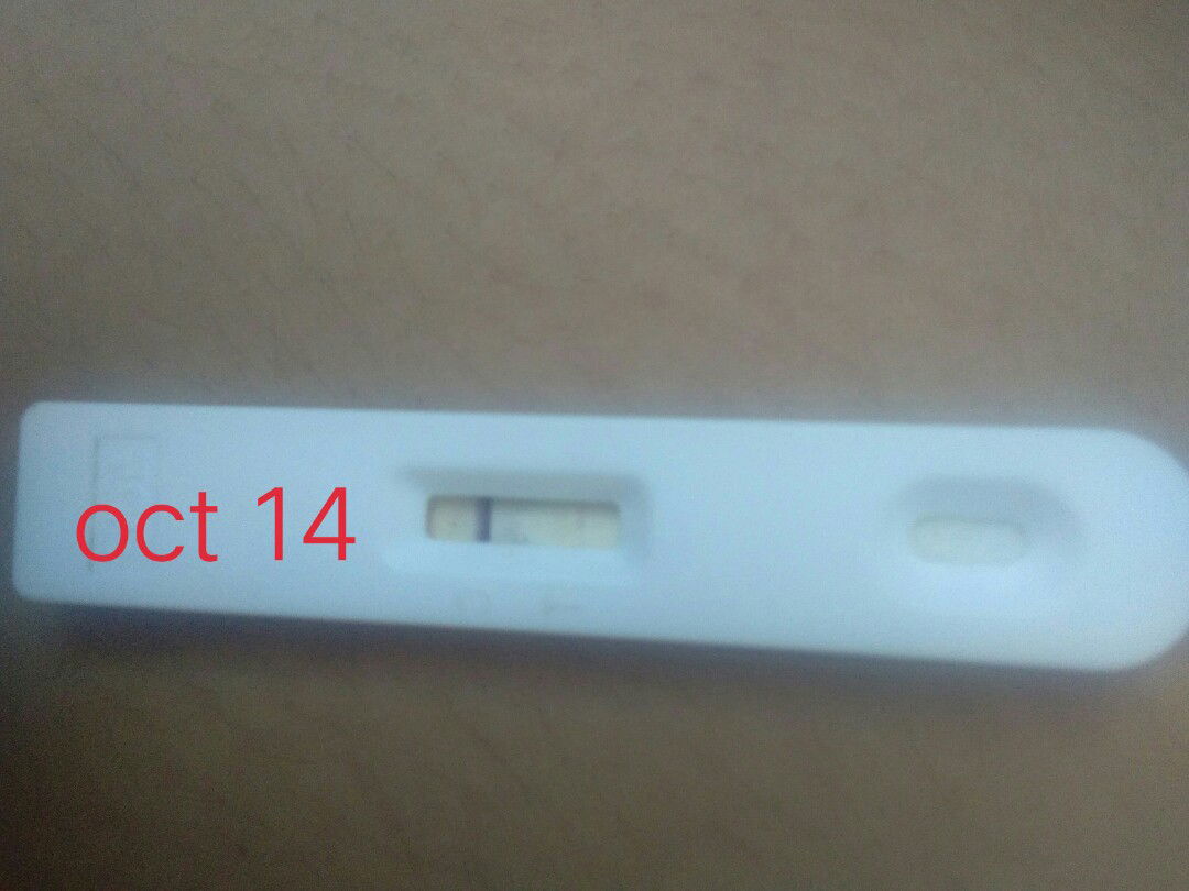 what do you think po?