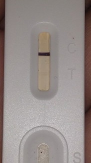 pertanya tetang tesk pack