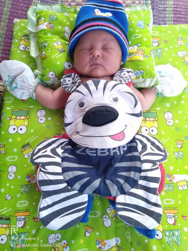 Ndut