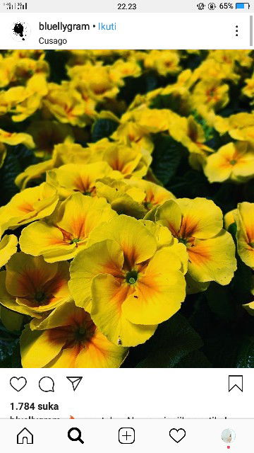 Palupi Enggar profile icon