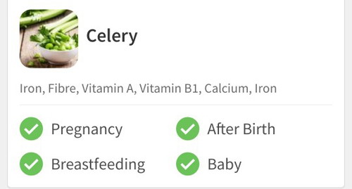 Celery For Baby