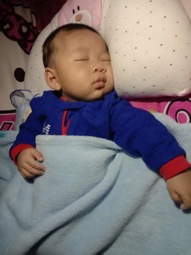 หลับปุ๋ย