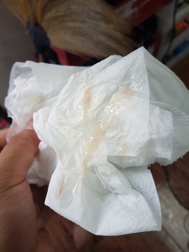 มูกเลือด