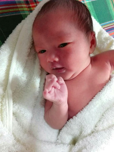 สาวน้อยชิปปี้