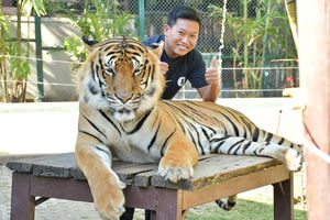 Mohd Shahrul Nazmi Bin Narowi profile icon