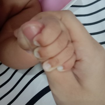 kuku bayi biru