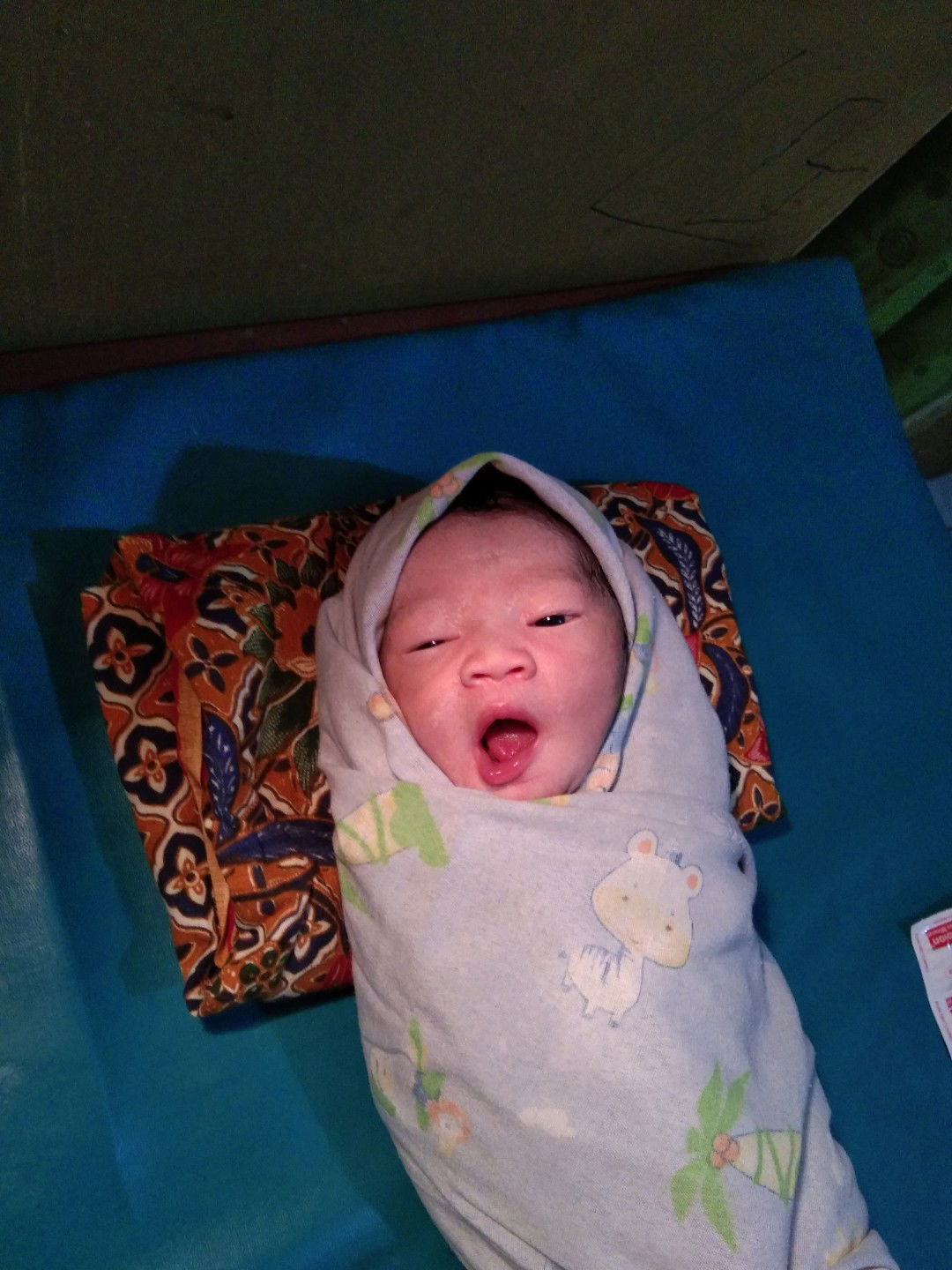 launcing di 38 minggu 6 day