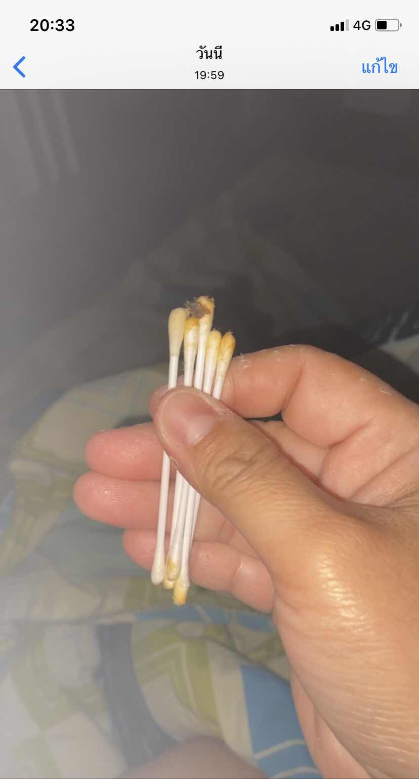 ขี้หูลูก