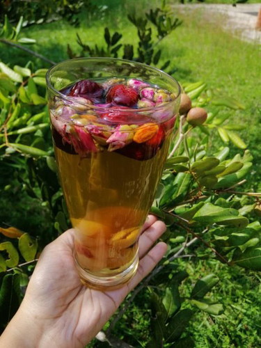 Naikkna HB, Bertenaga