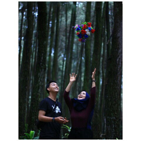 arissa zarlita profile icon