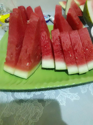 semangka